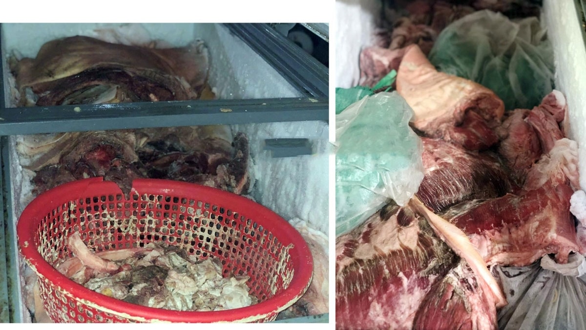 tiêu hủy khẩn cấp gần 800kg thịt heo nhiễm dịch tả lợn châu phi ở bình phước hình ảnh 1 tieu huy khan cap gan 800kg thit heo nhiem dich ta lon chau phi o binh phuoc hinh anh 1
