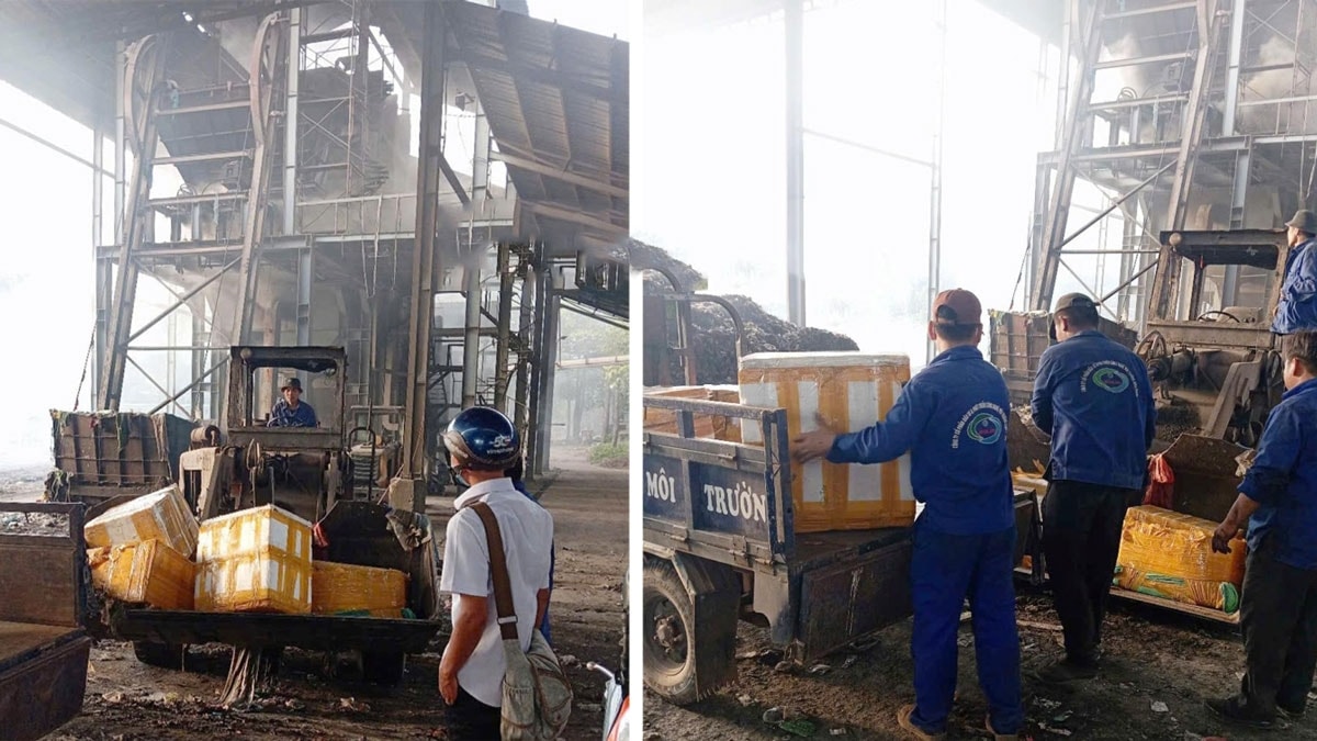 tiêu hủy khẩn cấp gần 800kg thịt heo nhiễm dịch tả lợn châu phi ở bình phước hình ảnh 2 tieu huy khan cap gan 800kg thit heo nhiem dich ta lon chau phi o binh phuoc hinh anh 2