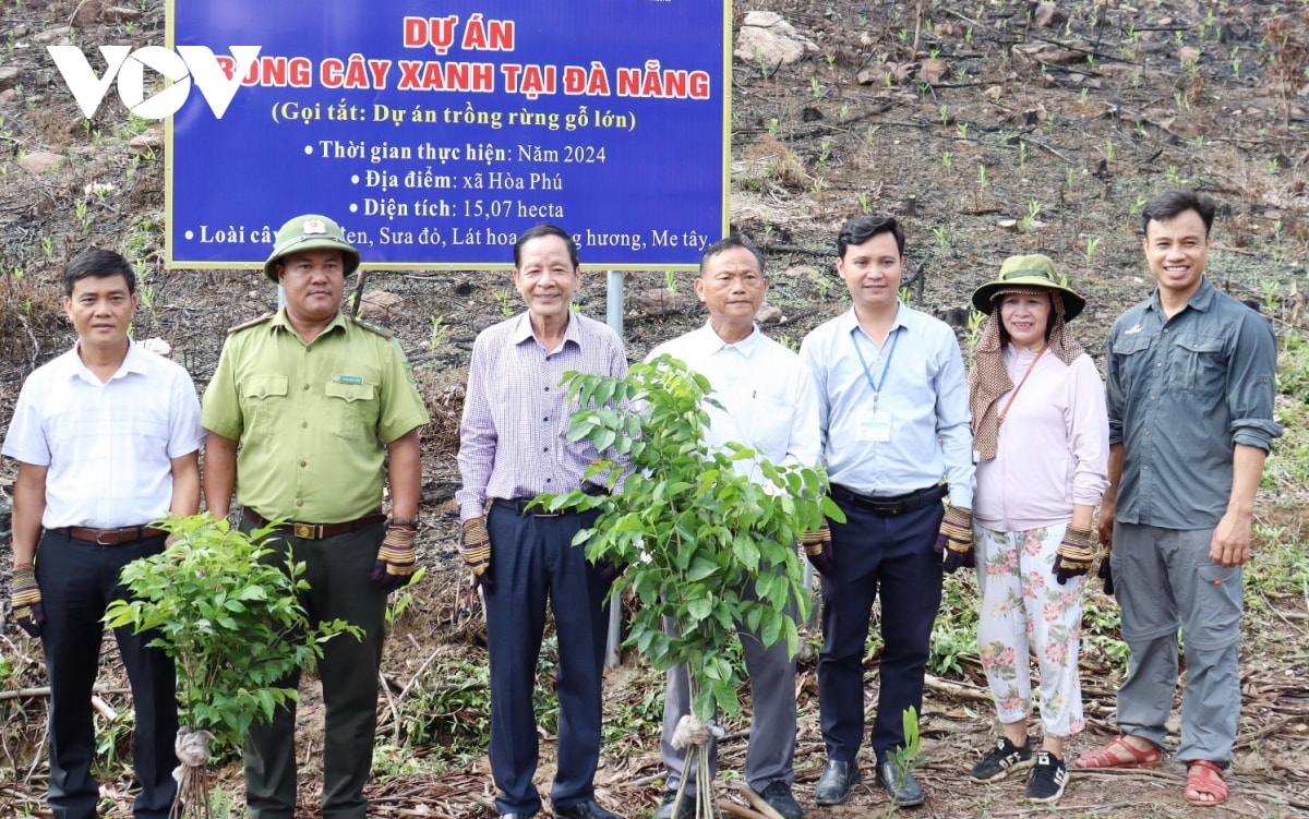 khuyến khích người dân tham gia trồng rừng gỗ lớn hình ảnh 2 khuyen khich nguoi dan tham gia trong rung go lon hinh anh 2
