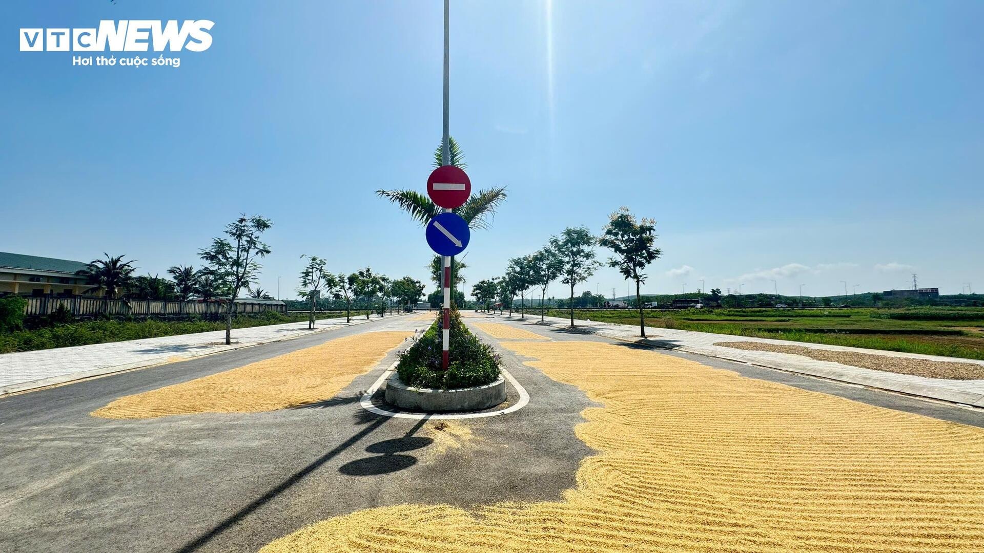 Đường hơn 34 tỷ nối Quốc lộ 1A ra giữa đồng, làm xong chỉ để phơi nông sản - 2
