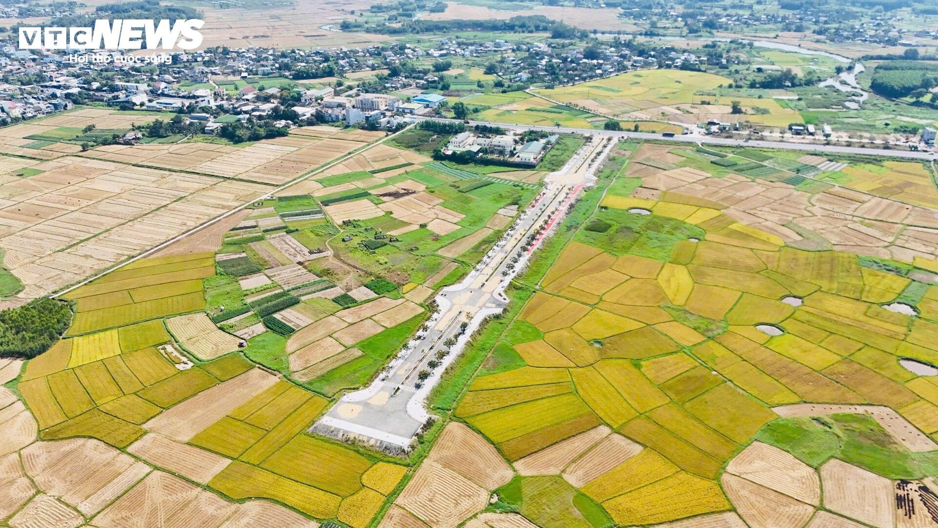 Đường hơn 34 tỷ nối Quốc lộ 1A ra giữa đồng, làm xong chỉ để phơi nông sản - 1
