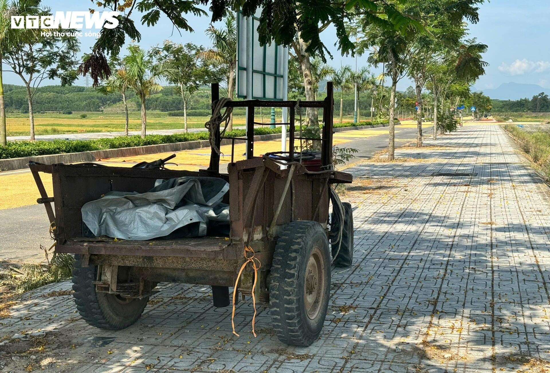 Đường hơn 34 tỷ nối Quốc lộ 1A ra giữa đồng, làm xong chỉ để phơi nông sản - 7