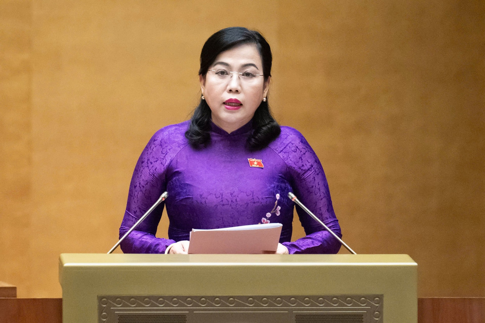 Chủ nhiệm Ủy ban Công tác đại biểu Nguyễn Thanh Hải phát biểu sáng nay. (Ảnh: Quochoi.vn)