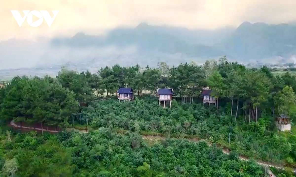 Doi che tan uyen - tuyet tac xanh giua nui rung tay bac hinh anh 13