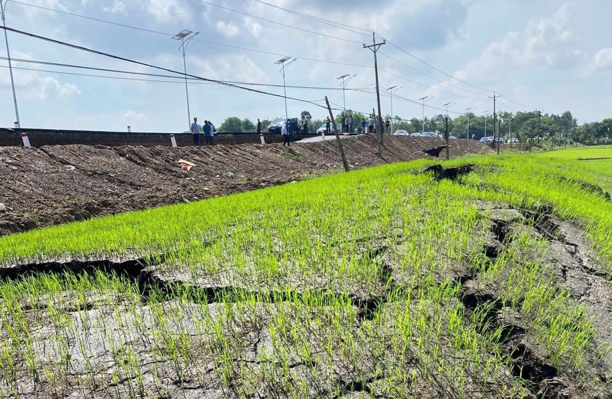 yêu cầu khẩn trương khắc phục sự cố sụp lún cầu hòa bình tây ninh hình ảnh 2 yeu cau khan truong khac phuc su co sup lun cau hoa binh tay ninh hinh anh 2