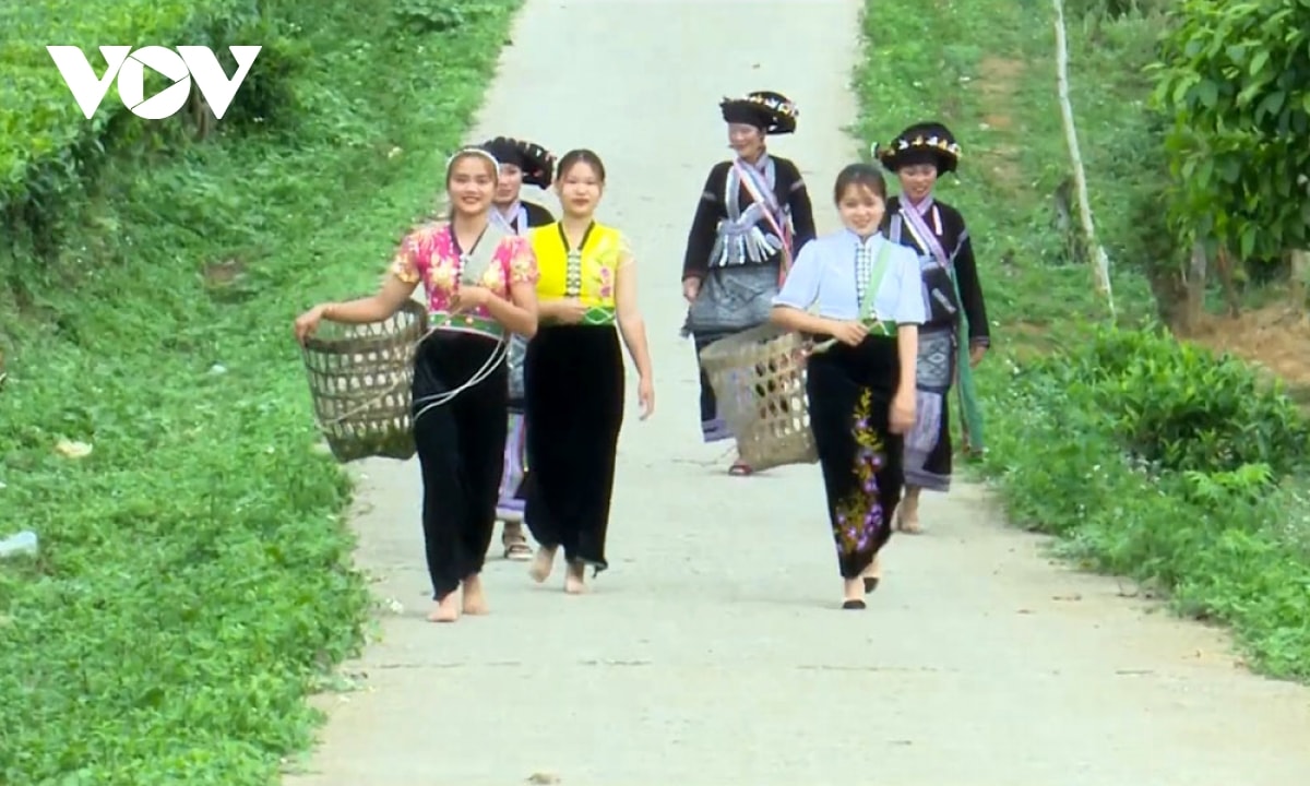 Doi che tan uyen - tuyet tac xanh giua nui rung tay bac hinh anh 4