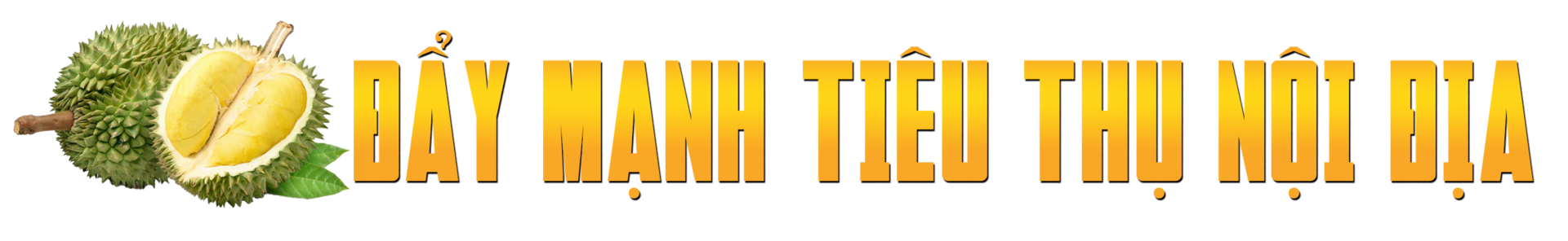 Sầu riêng rớt giá thê thảm, làm sao ‘giảm phụ thuộc vào thị trường tỷ USD’? - 4