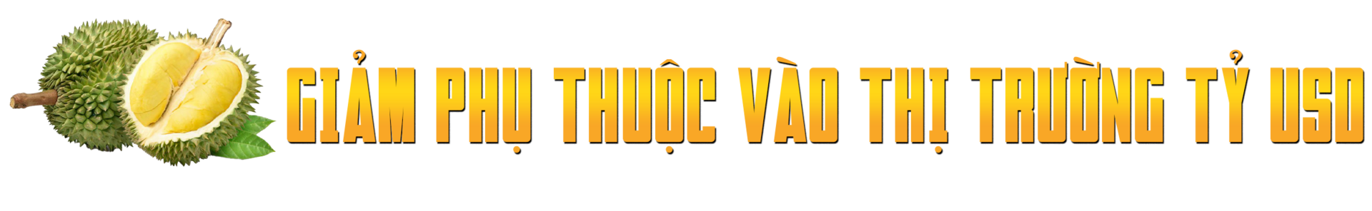 Sầu riêng rớt giá thê thảm, làm sao ‘giảm phụ thuộc vào thị trường tỷ USD’? - 6
