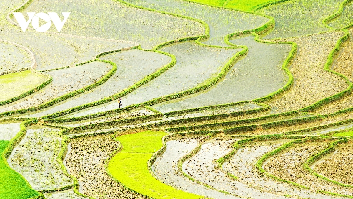 kham pha ruong bac thang mu cang chai mua nuoc do hinh anh 8