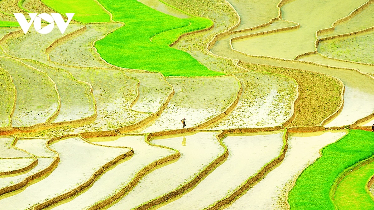 kham pha ruong bac thang mu cang chai mua nuoc do hinh anh 1