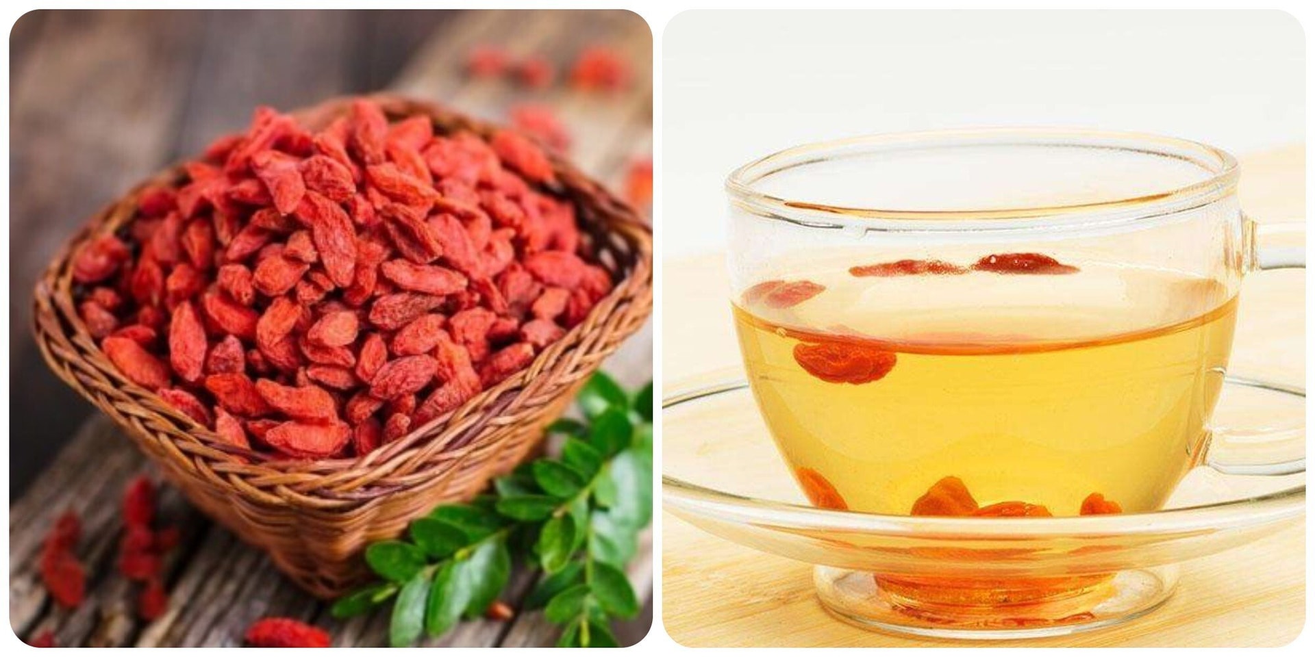 Trà kỷ tử là thức uống tốt cho sức khoẻ