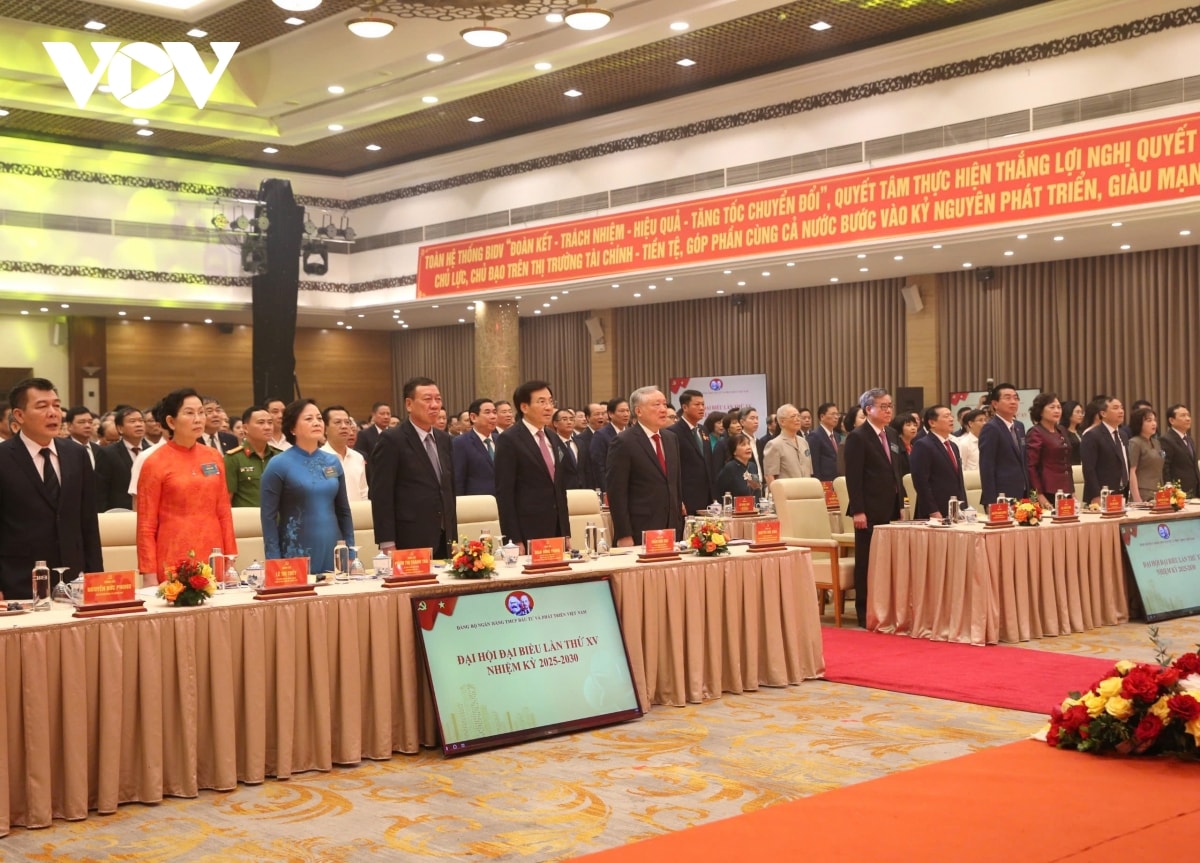 Đảng bộ chính phủ tổ chức Đại hội điểm Đảng bộ cấp trên cơ sở đầu tiên hình ảnh 4 Dang bo chinh phu to chuc Dai hoi diem Dang bo cap tren co so dau tien hinh anh 4