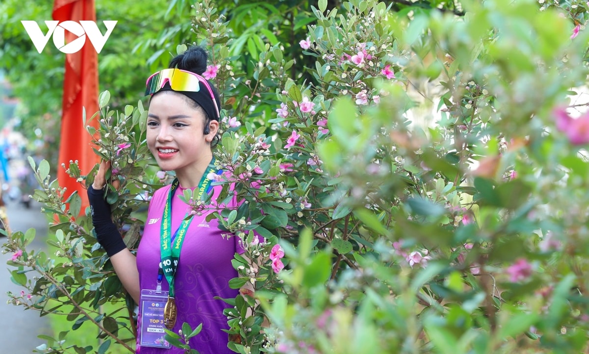 chiem nguong bat ngan sac tim hoa sim noi bien cuong Dong bac hinh anh 8