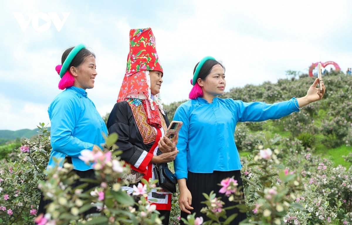 chiem nguong bat ngan sac tim hoa sim noi bien cuong Dong bac hinh anh 10