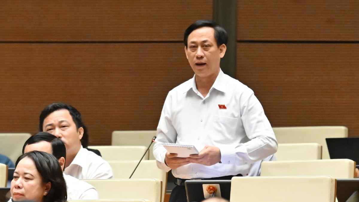 Đại biểu quốc hội kiến nghị quy định tránh chồng chéo thanh tra, kiểm tra hình ảnh 3 Dai bieu quoc hoi kien nghi quy dinh tranh chong cheo thanh tra, kiem tra hinh anh 3