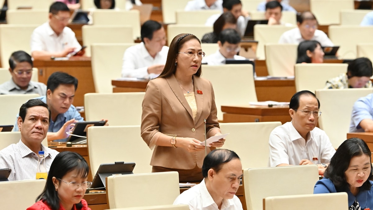 Đại biểu quốc hội kiến nghị quy định tránh chồng chéo thanh tra, kiểm tra hình ảnh 2 Dai bieu quoc hoi kien nghi quy dinh tranh chong cheo thanh tra, kiem tra hinh anh 2