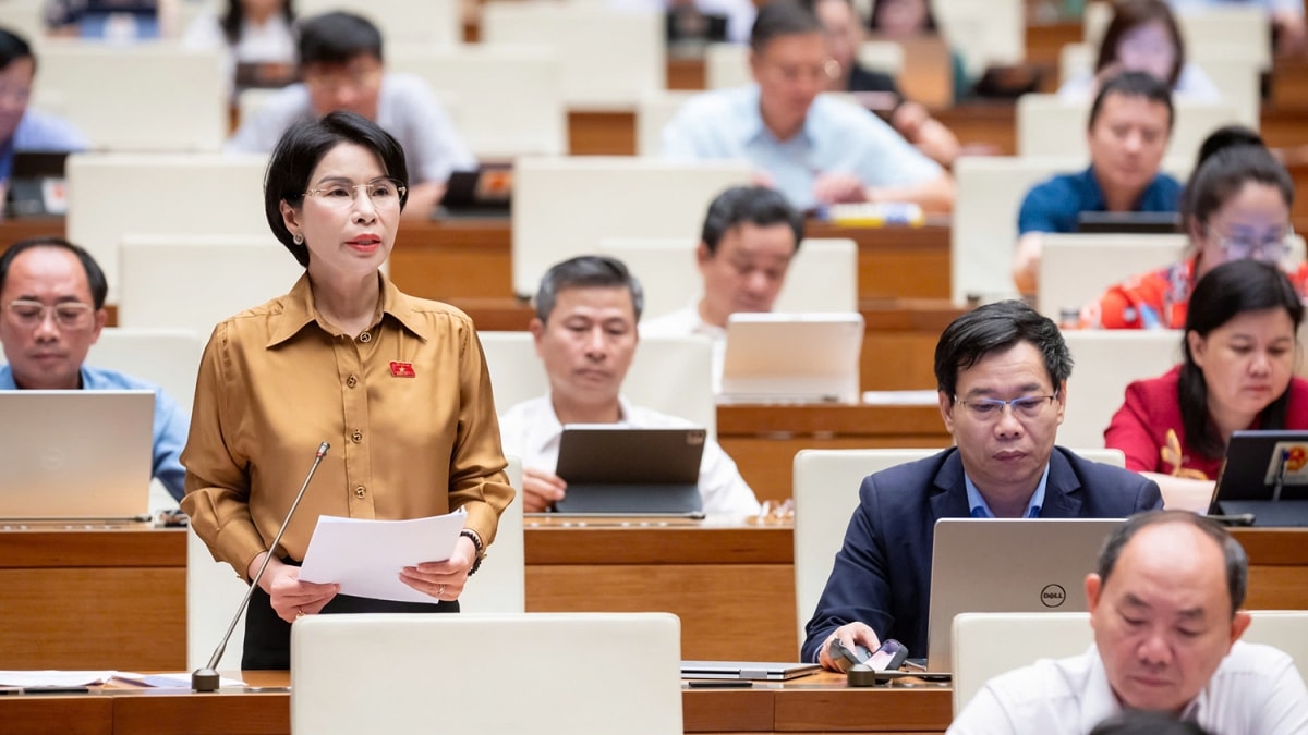 Đại biểu quốc hội kiến nghị quy định tránh chồng chéo thanh tra, kiểm tra hình ảnh 1 Dai bieu quoc hoi kien nghi quy dinh tranh chong cheo thanh tra, kiem tra hinh anh 1