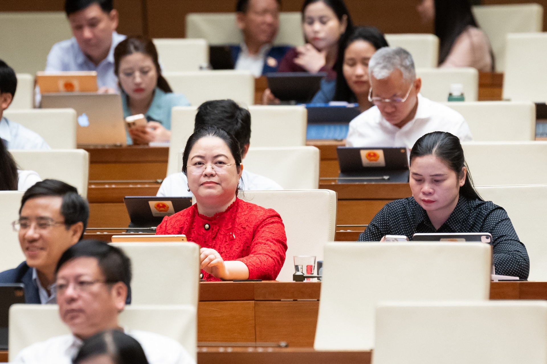 Các đại biểu lắng nghe dự luật.