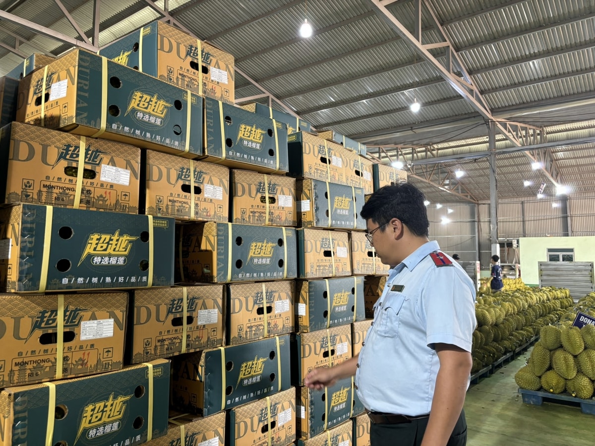 cảnh báo tăng trưởng sầu riêng vượt tầm năng lực quản trị hình ảnh 3 canh bao tang truong sau rieng vuot tam nang luc quan tri hinh anh 3