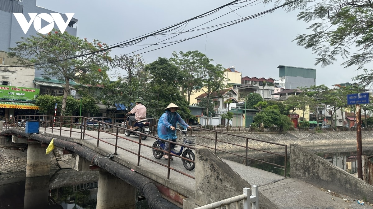 hang loat cau tam, cau dan sinh xuong cap o ha noi sap duoc thay the hinh anh 8