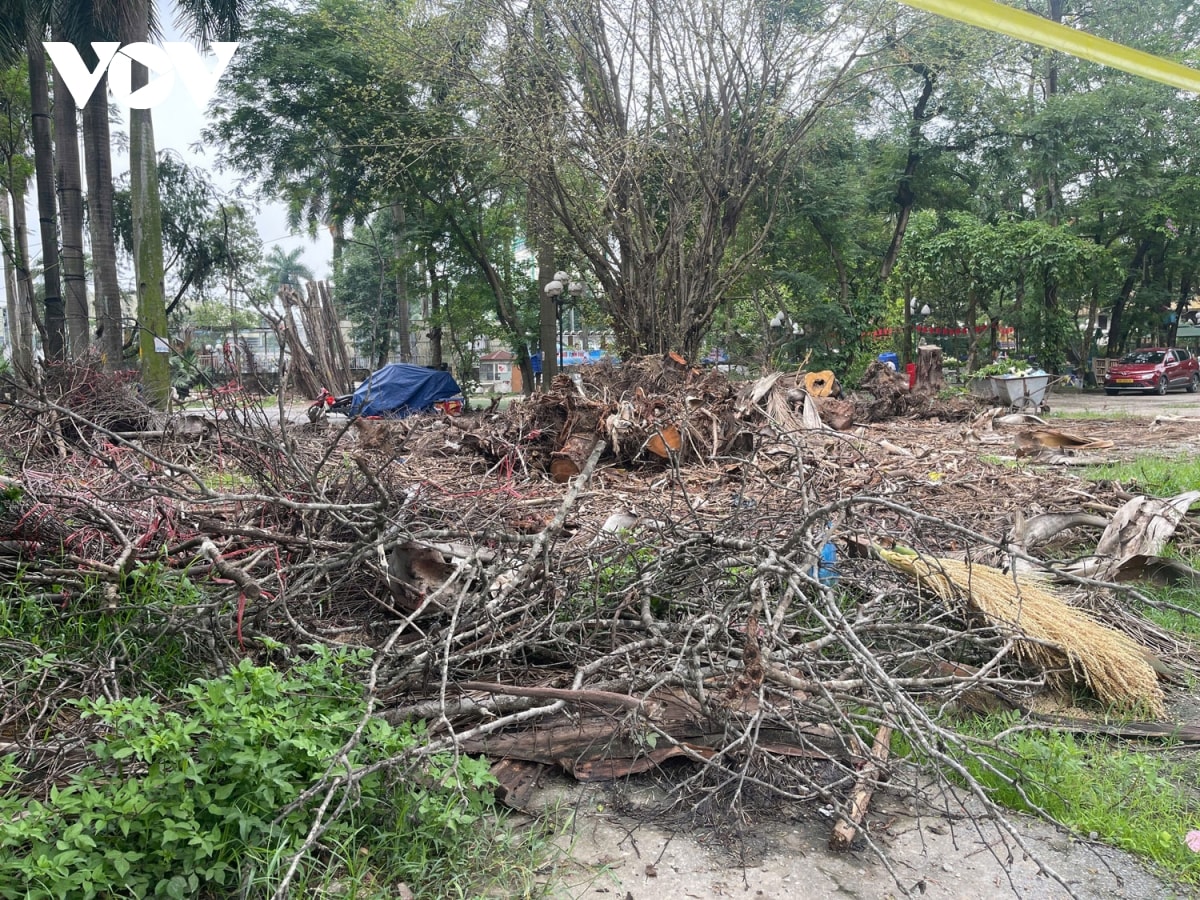 cong vien tuoi tre thu do van nhech nhac, hoang tan sau khi do rao chan hinh anh 5
