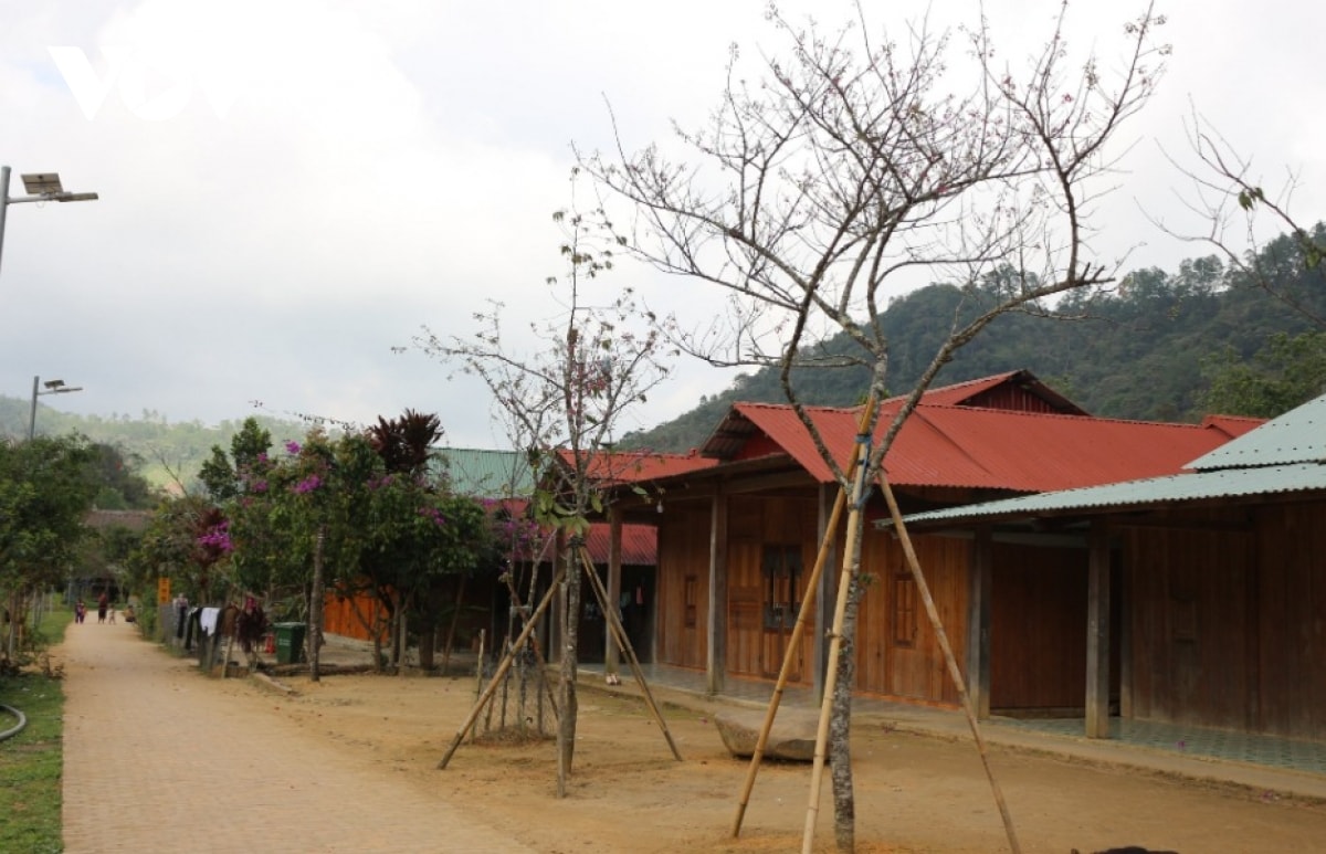 du lịch cộng đồng mang sức sống mới đến bản làng người cơ tu hình ảnh 2 du lich cong dong mang suc song moi den ban lang nguoi co tu hinh anh 2