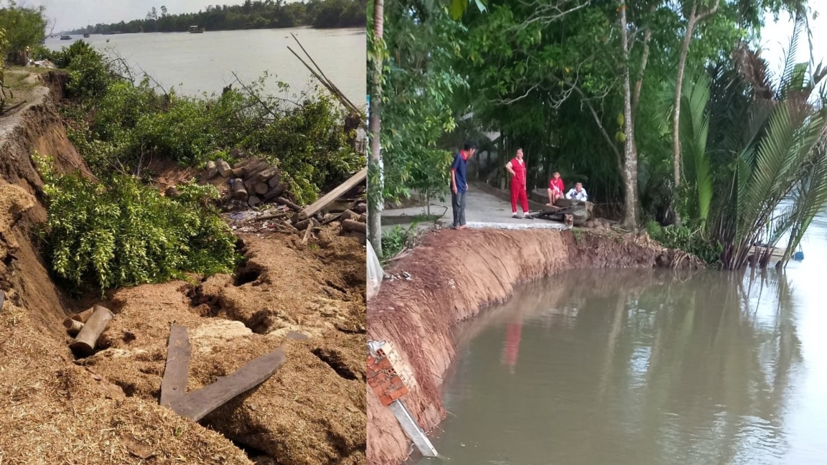 mỗi năm xảy ra hơn 30 điểm sụp đất, sạt lở bờ sông ở hậu giang hình ảnh 1 moi nam xay ra hon 30 diem sup dat, sat lo bo song o hau giang hinh anh 1