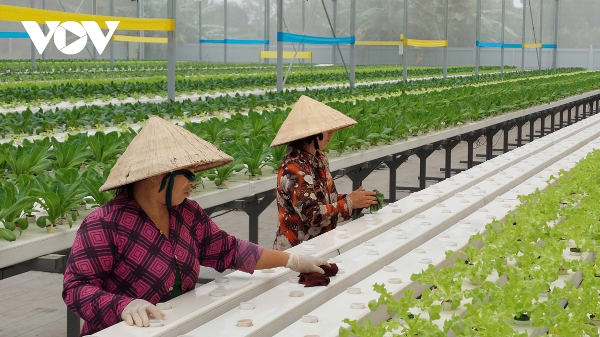 long an phát huy di tích, phát triển du lịch bền vững hình ảnh 2 long an phat huy di tich, phat trien du lich ben vung hinh anh 2