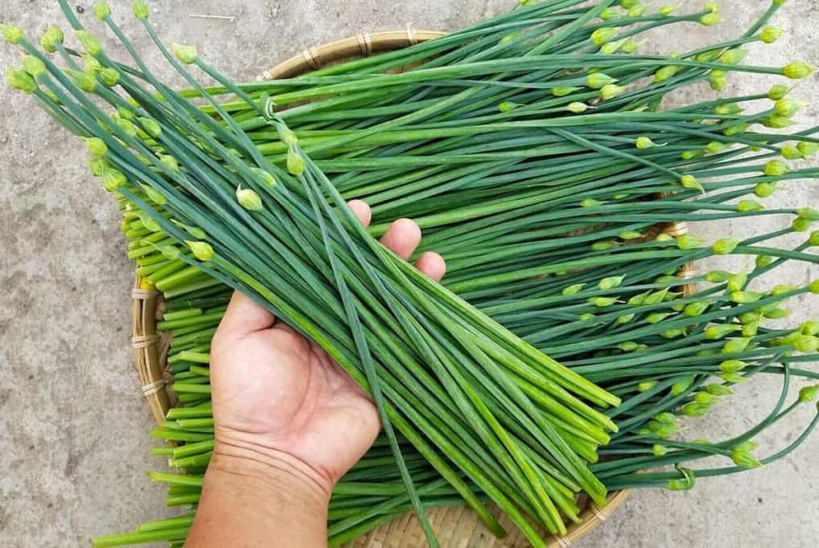 Lá hẹ tốt nhưng cần sử dụng đúng cách (Ảnh minh họa)