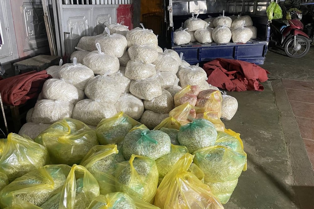 Khởi tố 3 bị can liên quan vụ 3.500 tấn giá đỗ ngâm hóa chất độc hại - 4