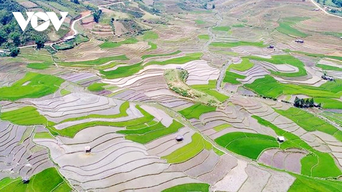 du lịch việt nam, đất nước châu Á xinh đẹp với thời tiết ấm áp và chi phí hợp lý hình ảnh 4 du lich viet nam, dat nuoc chau A xinh dep voi thoi tiet am ap va chi phi hop ly hinh anh 4