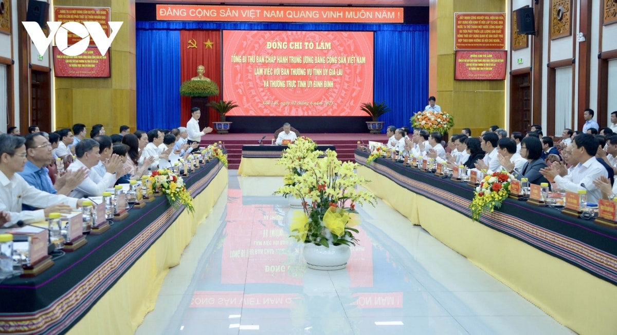 tong bi thu to lam lam viec voi 2 tinh gia lai va binh Dinh hinh anh 4