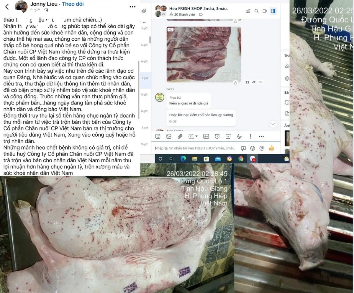 vụ thịt heo cp xác minh người đóng dấu kiểm dịch hình ảnh 2 vu thit heo cp xac minh nguoi dong dau kiem dich hinh anh 2