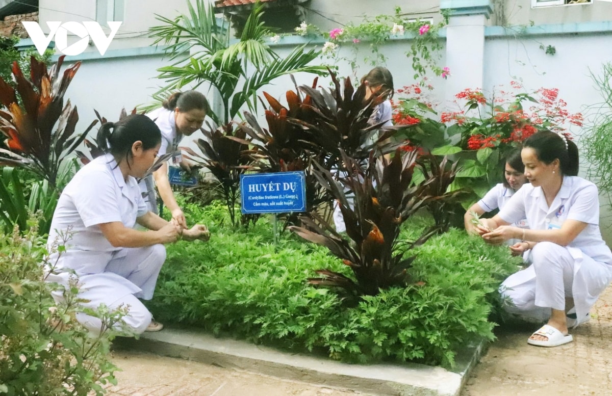 xung quanh đề xuất xây dựng trạm y tế theo mô hình bệnh viện thu nhỏ hình ảnh 3 xung quanh de xuat xay dung tram y te theo mo hinh benh vien thu nho hinh anh 3