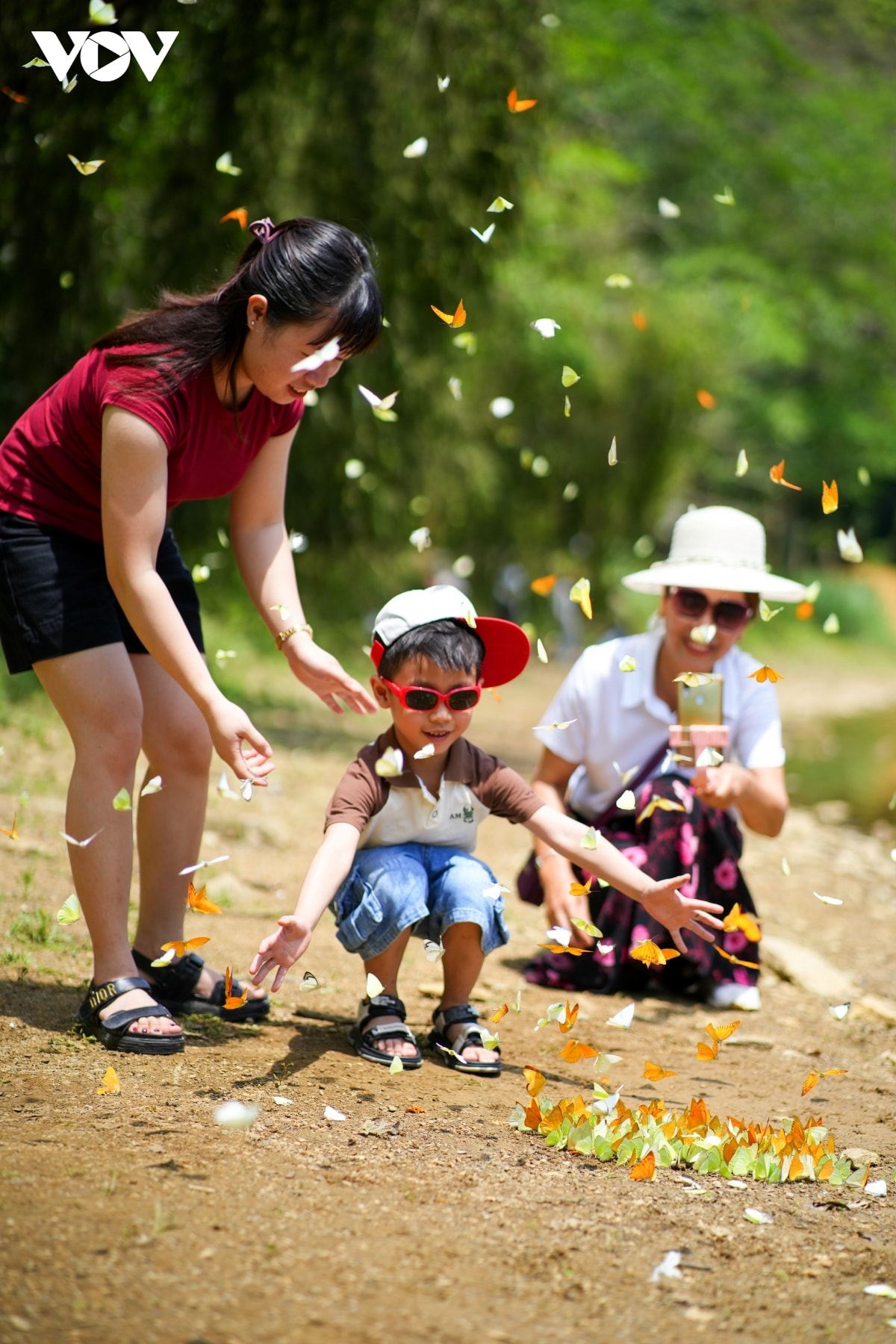 kham pha cuc phuong mua buom tho mong hinh anh 7