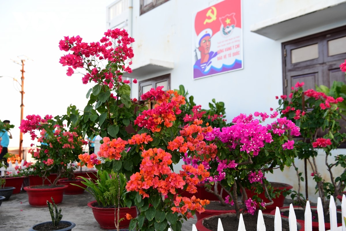 ve dep cua quan dao truong sa trong mua bien lang hinh anh 10