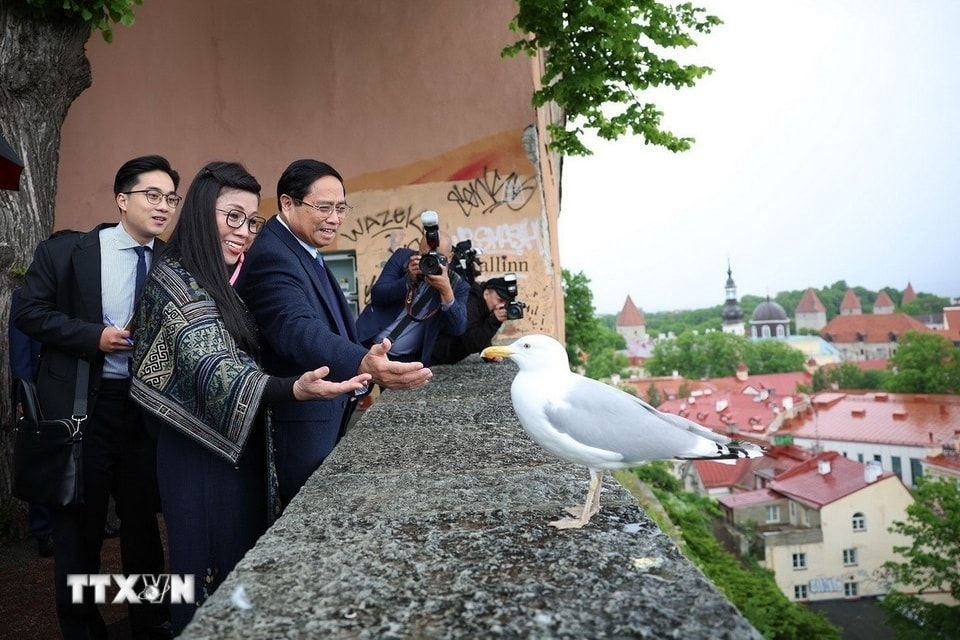 toan canh chuyen tham chinh thuc estonia cua thu tuong pham minh chinh hinh anh 2