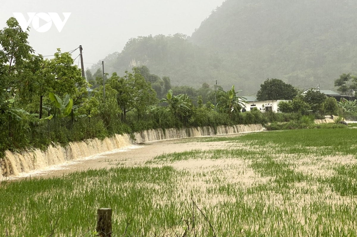 mua lon gay thiet hai nang tai thanh pho lai chau hinh anh 9
