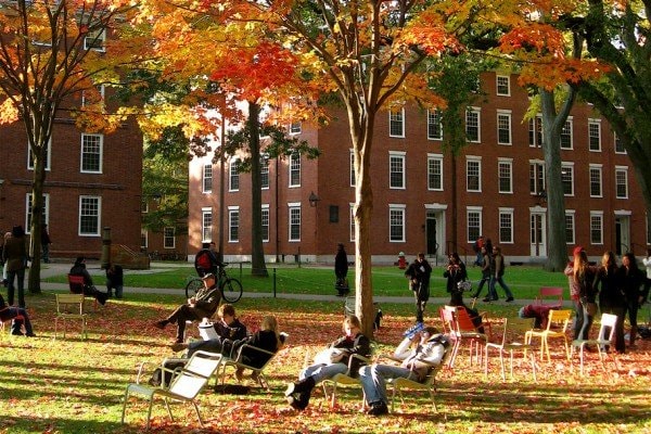 Đại học Harvard. (Ảnh minh họa)