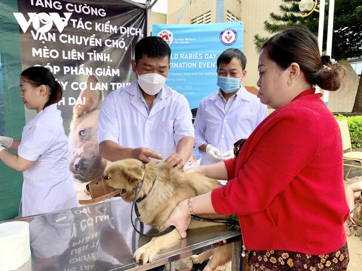 thêm một ca tử vong do bệnh dại tại gia lai hình ảnh 1 them mot ca tu vong do benh dai tai gia lai hinh anh 1