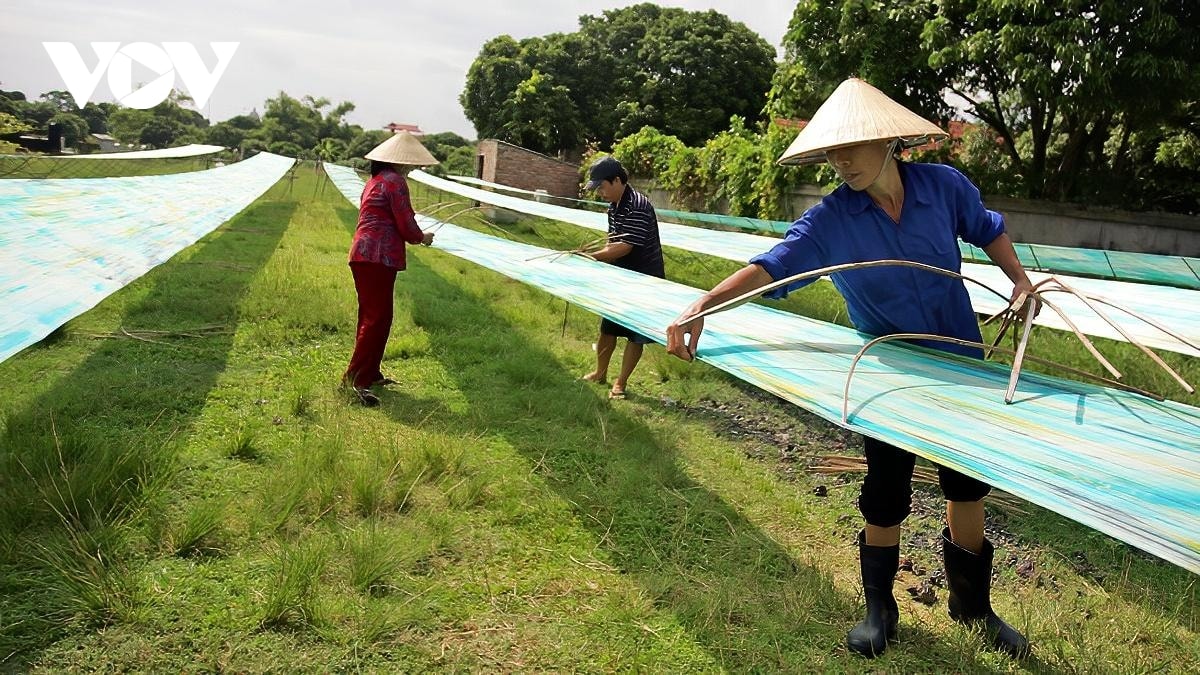 kham pha lang nghe det lua nha xa ruc ro sac mau truyen thong tren khung lua hinh anh 16