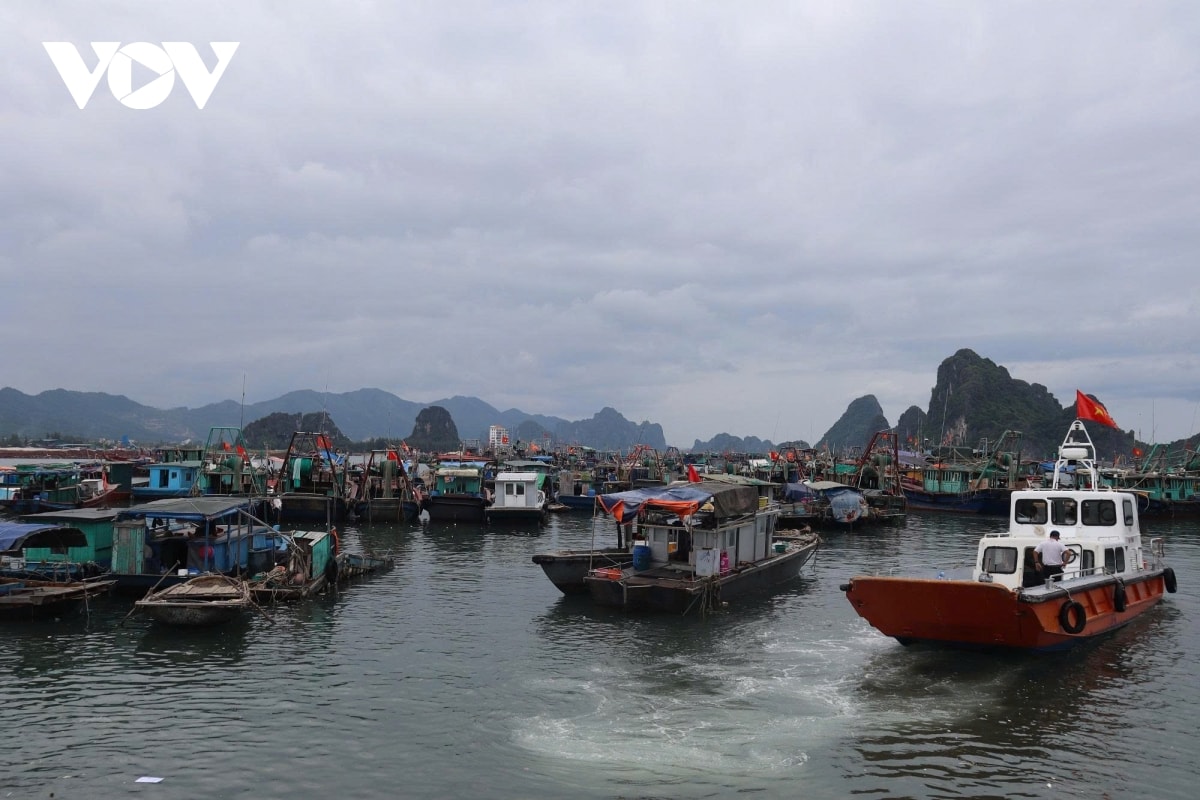 các địa phương chủ động ứng phó với bão số 1 hình ảnh 2 cac dia phuong chu dong ung pho voi bao so 1 hinh anh 2