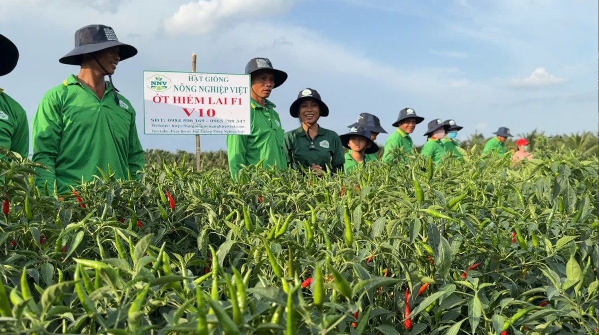 tiền giang được công nhận hoàn thành nhiệm vụ xây dựng nông thôn mới hình ảnh 4 tien giang duoc cong nhan hoan thanh nhiem vu xay dung nong thon moi hinh anh 4