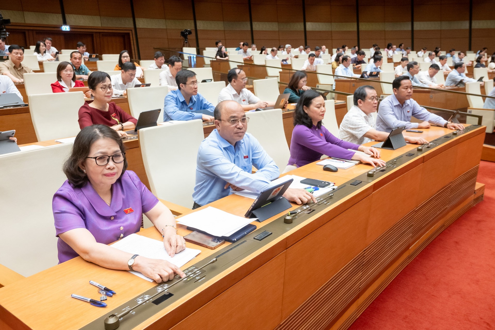 Các đại biểu biểu quyết thông qua luật sáng nay.