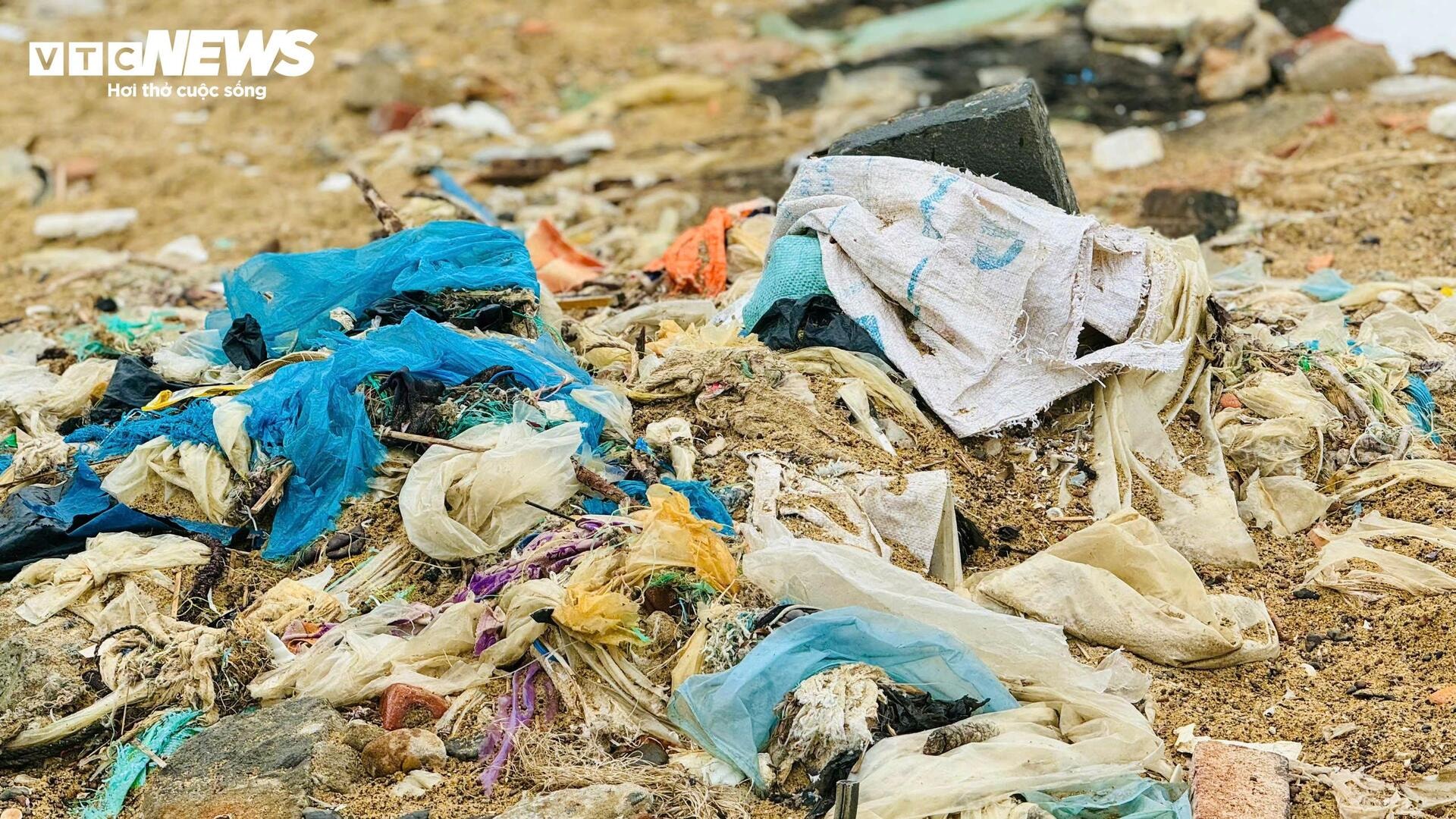Rác thải tràn ngập gần 300m bờ biển Quảng Ngãi - 6
