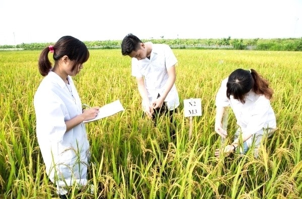 hiện thực hoá nghị quyết 57 liên kết giữa doanh nghiệp và nhà khoa học hình ảnh 4 hien thuc hoa nghi quyet 57 lien ket giua doanh nghiep va nha khoa hoc hinh anh 4