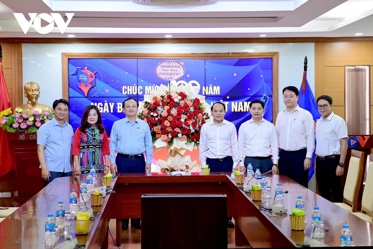 nhieu bo, nganh, dia phuong chuc mung Dai tnvn nhan ngay bao chi cach mang viet nam hinh anh 3
