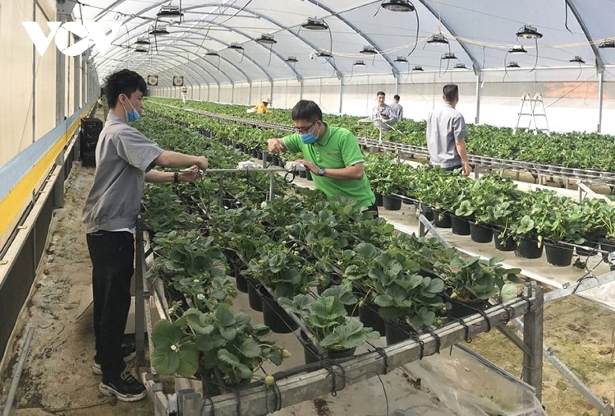 hiện thực hoá nghị quyết 57 liên kết giữa doanh nghiệp và nhà khoa học hình ảnh 1 hien thuc hoa nghi quyet 57 lien ket giua doanh nghiep va nha khoa hoc hinh anh 1