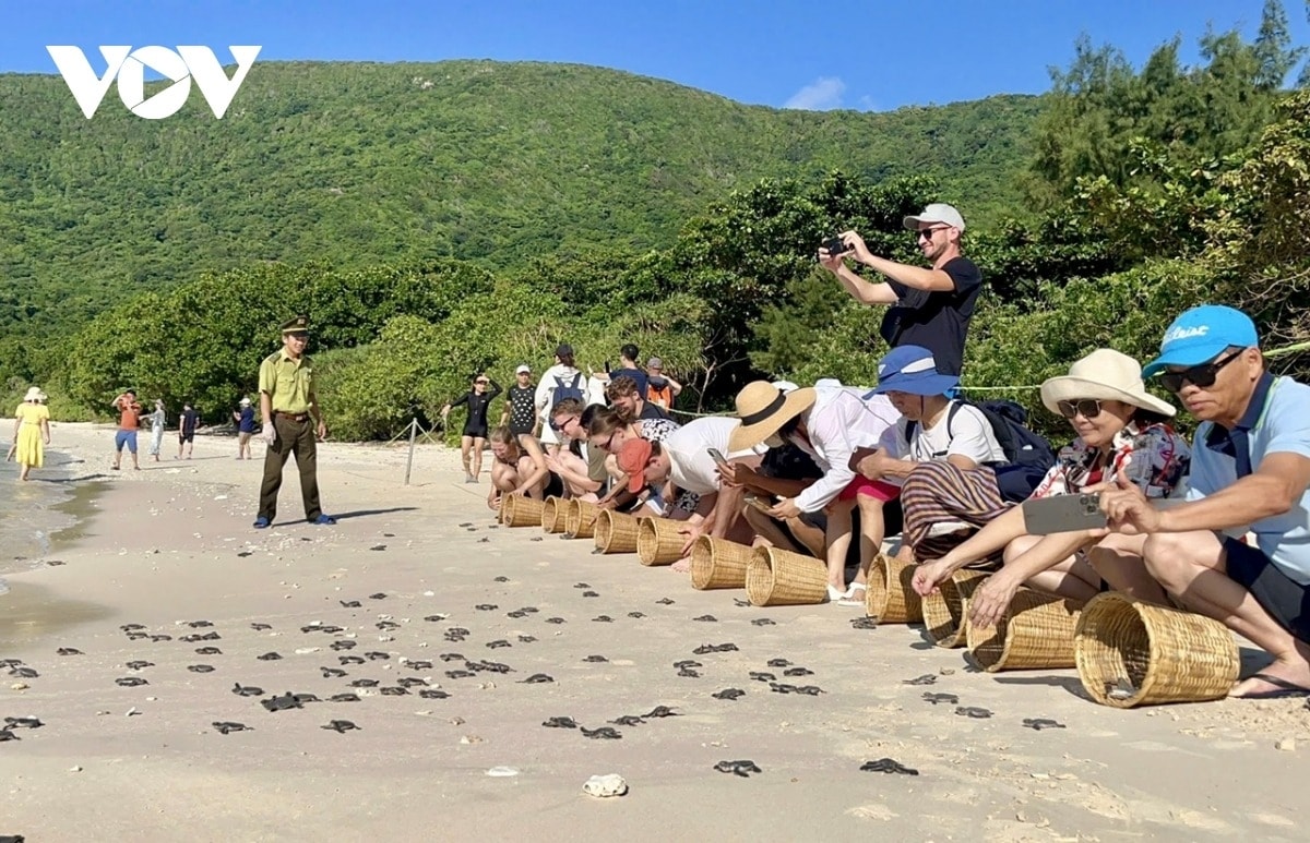 có gì mới trong bản đồ du lịch việt nam sau sáp nhập tỉnh, thành hình ảnh 10 co gi moi trong ban do du lich viet nam sau sap nhap tinh, thanh hinh anh 10
