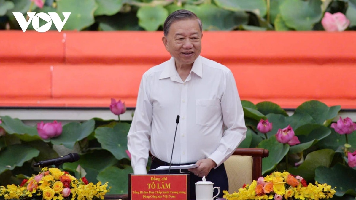 tong bi thu to lam lam viec voi tp.hcm, binh duong va ba ria vung tau hinh anh 6